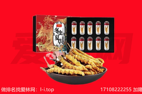 兰州市永登回收虫草.jpg